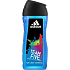 Adidas Team Five 2 in 1 Duschgel für Körper und Haare für Männer 400 ml