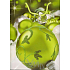 Nekupto Geschenk Papiertüte 32,5 x 26 x 13 cm Flasche 1 Stück 575 50 BL