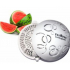 Fre Pro Easy Fresh 2.0 - austauschbare duftende Hülle Wassermelone - weiß