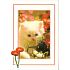 Nekupto Postkarte
