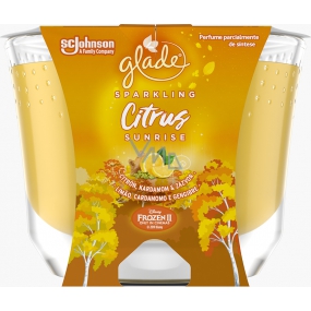 Glade Maxi Sparkling Citrus Sunrise mit dem Duft von nach Zitrone, Kardamom und Ingwer duftenden Kerzen in einem Glas, Brenndauer bis zu 52 Stunden 224 g