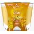 Glade Maxi Sparkling Citrus Sunrise mit dem Duft von nach Zitrone, Kardamom und Ingwer duftenden Kerzen in einem Glas, Brenndauer bis zu 52 Stunden 224 g