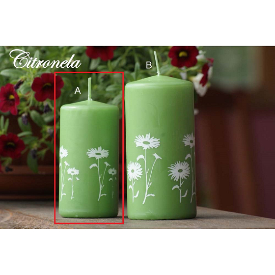 Lima Citronela Mückenschutz Kerze duftend mit Blumen grünes Blatt Zylinder 50 x 100 mm