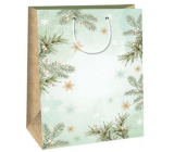 Ditipo Geschenkpapiertüte 32,4 x 10,2 x 45,5 cm Weihnachten hellgrün - Zweige, Schneeflocken