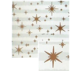 Nekupto Weihnachtsgeschenkpapier 70 x 1000 cm Weiß und hellblau gestreift, kupferne Sterne