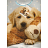 Nekupto Geschenk Papiertüte 32,5 x 26 x 13 cm Welpe 1 Stück 766 01 BL