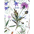 Albi Diary 2020 täglich Wiesenblüten 17 x 12,6 x 2,4 cm
