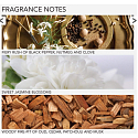 Grace Cole Oud Accord & Velvet Musk - Oudholz und Samtmoschus sanfte Handmilch Spender 300 ml