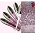 Dermacol Preference Lipgloss Lipgloss 04 8,5 ml