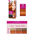Schwarzkopf Palette Perfect Color Care Haarfarbe 390 Helles Kupfer