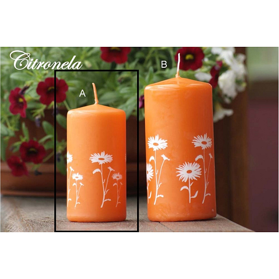 Lima Citronela Mückenschutz Kerze duftend mit Blumen orange Zylinder 50 x 100 mm