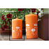 Lima Citronela Mückenschutz Kerze duftend mit Blumen orange Zylinder 50 x 100 mm