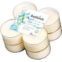 Bolsius True Moods In Balance Weißer Tee & Minzblätter - Weißer Tee und Minzblätter Maxi-Teelichter 8 Stück, Brenndauer 8 Stunden