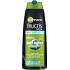 Garnier Fructis Men Daily Energy stärkendes Shampoo für kräftiges Haar 250 ml