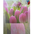Nekupto Geschenk Papiertüte 32,5 x 26 x 13 cm Tulpen 1 Stück 332 30
