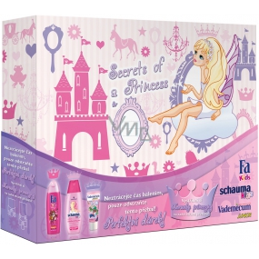Schauma Kinder für Prinzessinnen Shampoo 250 ml + Fa Duschgel 250 ml + Vademecum Zahnpasta 50 ml Mädchenkassette