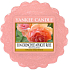 Yankee Candle Sun Drenched Apricot Rose - Sonnendurchflutete Aprikosenrose Duftwachs für Aromalampen 22 g