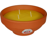 Solo Citronella Kerze gegen Insekten 800 g