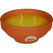Solo Citronella Kerze gegen Insekten 800 g