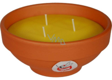 Solo Citronella Kerze gegen Insekten 800 g