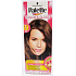 Schwarzkopf Palette Farbe & Glanz Haarfarbe 6 - 0 Schillerndes Karamell