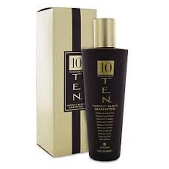 Alterna TEN Perfect Blend Shampoo für ein atemberaubendes Gefühl der Perfektion 250 ml
