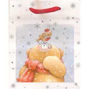 Albi Geschenkpapier kleine Tasche 13,5 x 11 x 6 cm Weihnachten TS4 96099