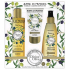 Jeanne en Provence Divine Olive Duschöl 250 ml + Handcreme 75 ml + nährendes Öl für Körper, Gesicht und Haare 150 ml, Kosmetikset