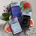 Bugatti Signature Black Eau de Toilette für Männer 100 ml