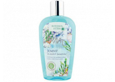 Bohemia Gifts Totes Meer Totes Meer, Algenextrakt und Salzshampoo für alle Haartypen 250 ml