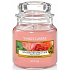 Yankee Candle Sun Drenched Apricot Rose - Gestickte Duftkerze mit Aprikosenrose Klassisches kleines Glas 104 g