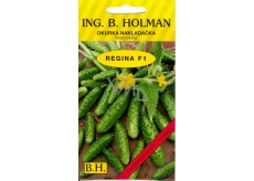 Holman F1 Regina-Gurken 2,5 g