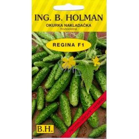 Holman F1 Regina-Gurken 2,5 g