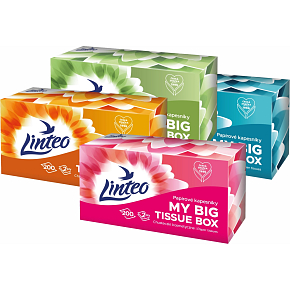 Linteo Papiertaschentücher 2-lagig Box, 200 Stück