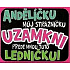 Nekupto Geschenke mit Humor Kühlschrankmagnet Engels-Wächter 9 x 6,5 cm
