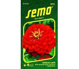 Semo Ostálka lepá Cherry Queen rot 0,7 g