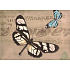 Nekupto Geschenk Kraftbeutel 32,5 x 26 x 13 cm Schmetterlinge 326 CL