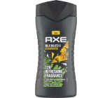 AXE Duschgel Wild Green Mojito und Cedarwood, 250 ml