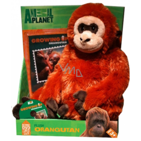 EP Line Animal Planet Orang-Utan Plüschtier mit DVD, empfohlen ab 3 Jahren