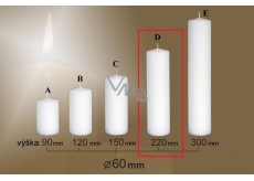 Lima Gastro Kerze weiß Zylinder 60 x 220 mm 1 Stück
