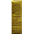 Nekupto Geschenk Papiertüte Hologramm für Flasche 33 x 10 x 9 cm Gold 050 01 THLH