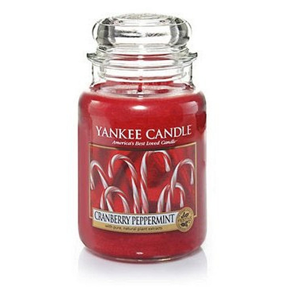 Yankee Candle Cranberry Pepermint Cool - Cranberry Minze süße Duftkerze Klassisches großes Glas 623 g