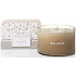 Yankee Candle Balance Gezuckerte Vanille - Kerzenglas mit Zucker-Vanille-Duft 3 Dochte 510 g