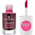 Essence What a Tint! Lipgloss und Rouge 01 Kiss From a Rose 4,9 ml