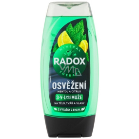 Radox Men 3in1 Erfrischung Menthol und Zitrusfrüchte Duschgel für Männer 225 ml