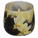 Essenzen des Lebens Vanille aromatische Kerze in Glas 100 g