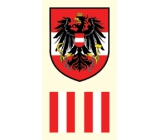 Arch Tattoo Aufkleber auf Gesicht und Körper Österreich Flagge 2 Motiv
