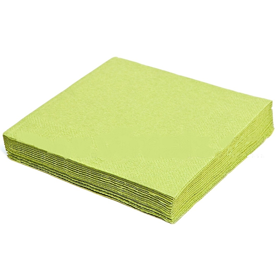 Gastro Papierservietten 2-lagig 33 x 33 cm 50 Stück hellgrün gefärbt