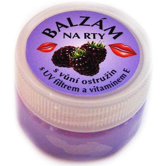 Bione Cosmetics Blackberry Lippenbalsam 25 ml