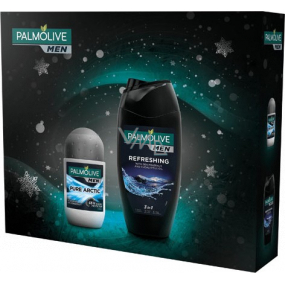 Palmolive Men Refreshing 3 in 1 Duschgel für Körper, Gesicht und Haar 250 ml + Pure Arctic Antitranspirant Roll-on 50 ml, Kosmetikset